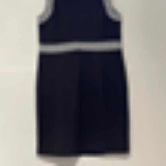 DEX Black Fitted Sleeveless Dress Classic - Picture 6 of 6